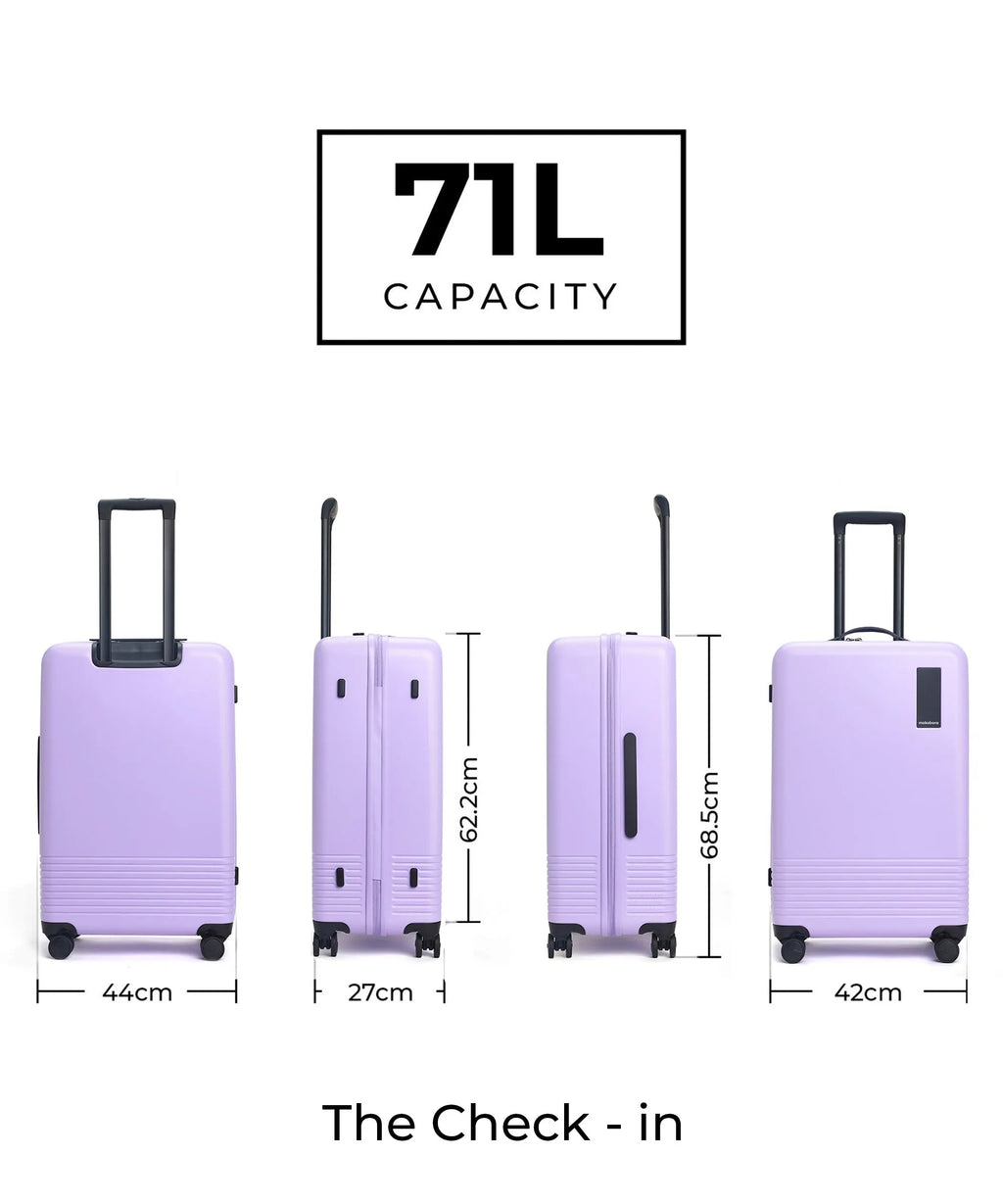 Set of 2 Luggage