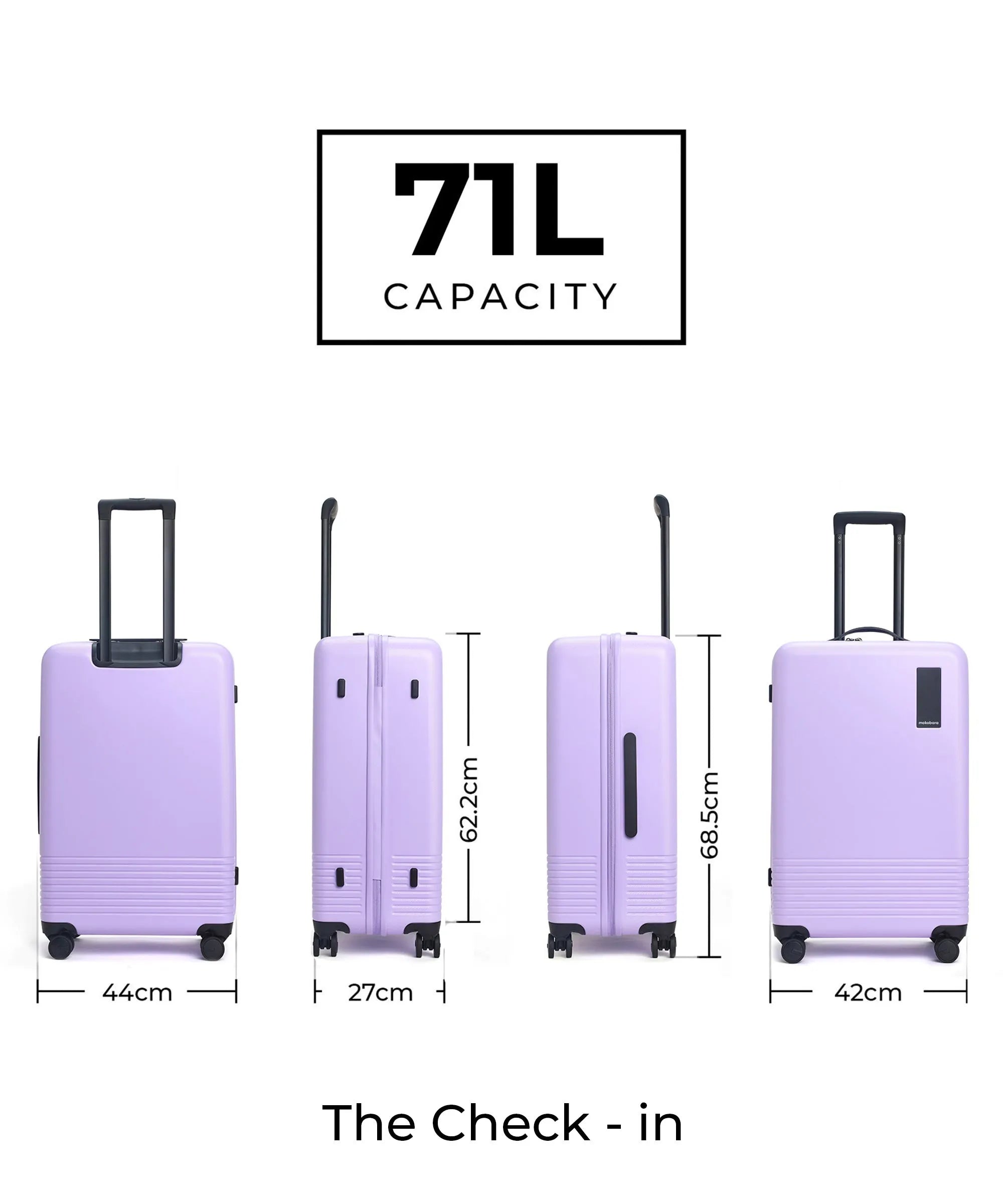 Set of 2 Luggage