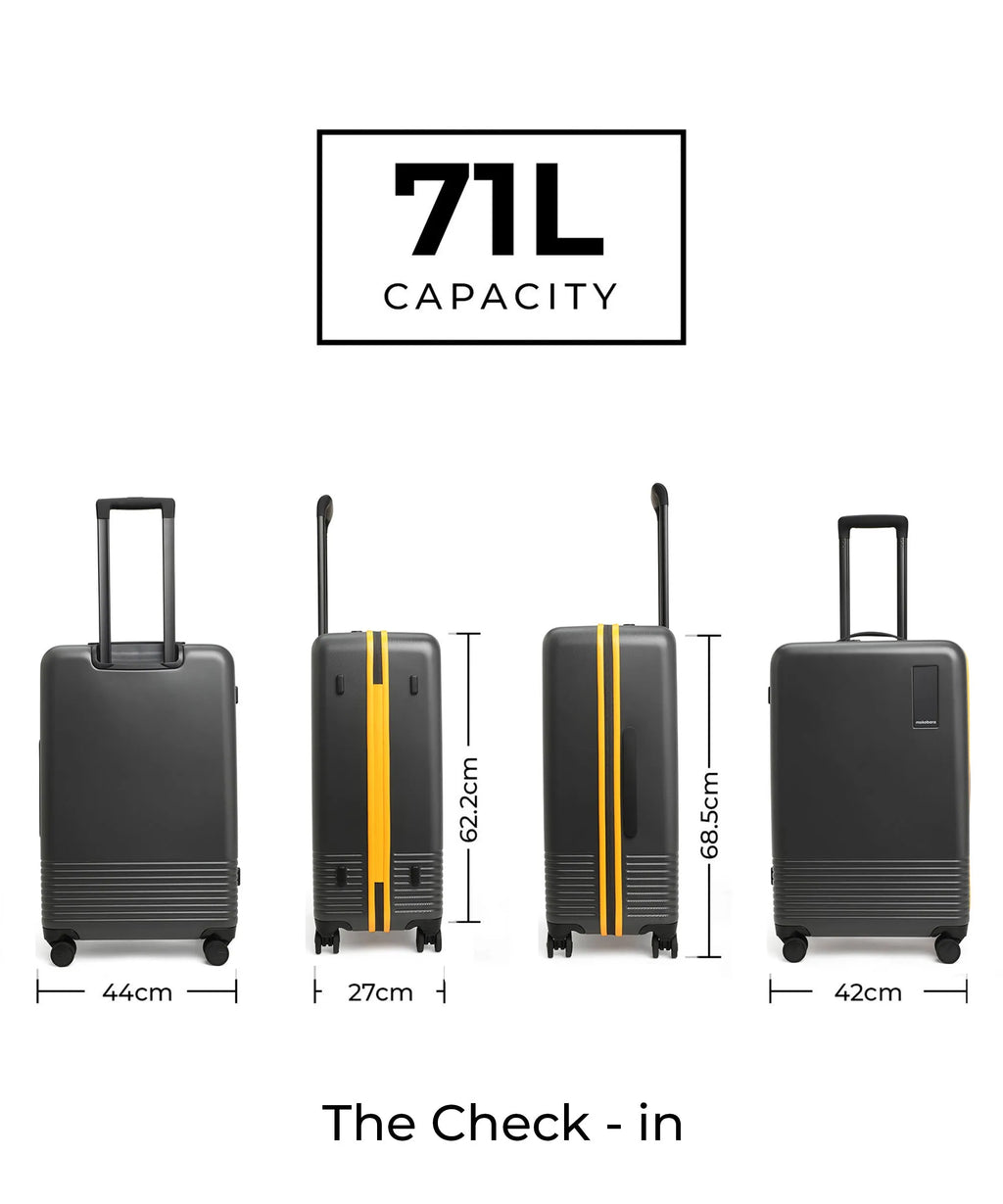 Set of 2 Luggage