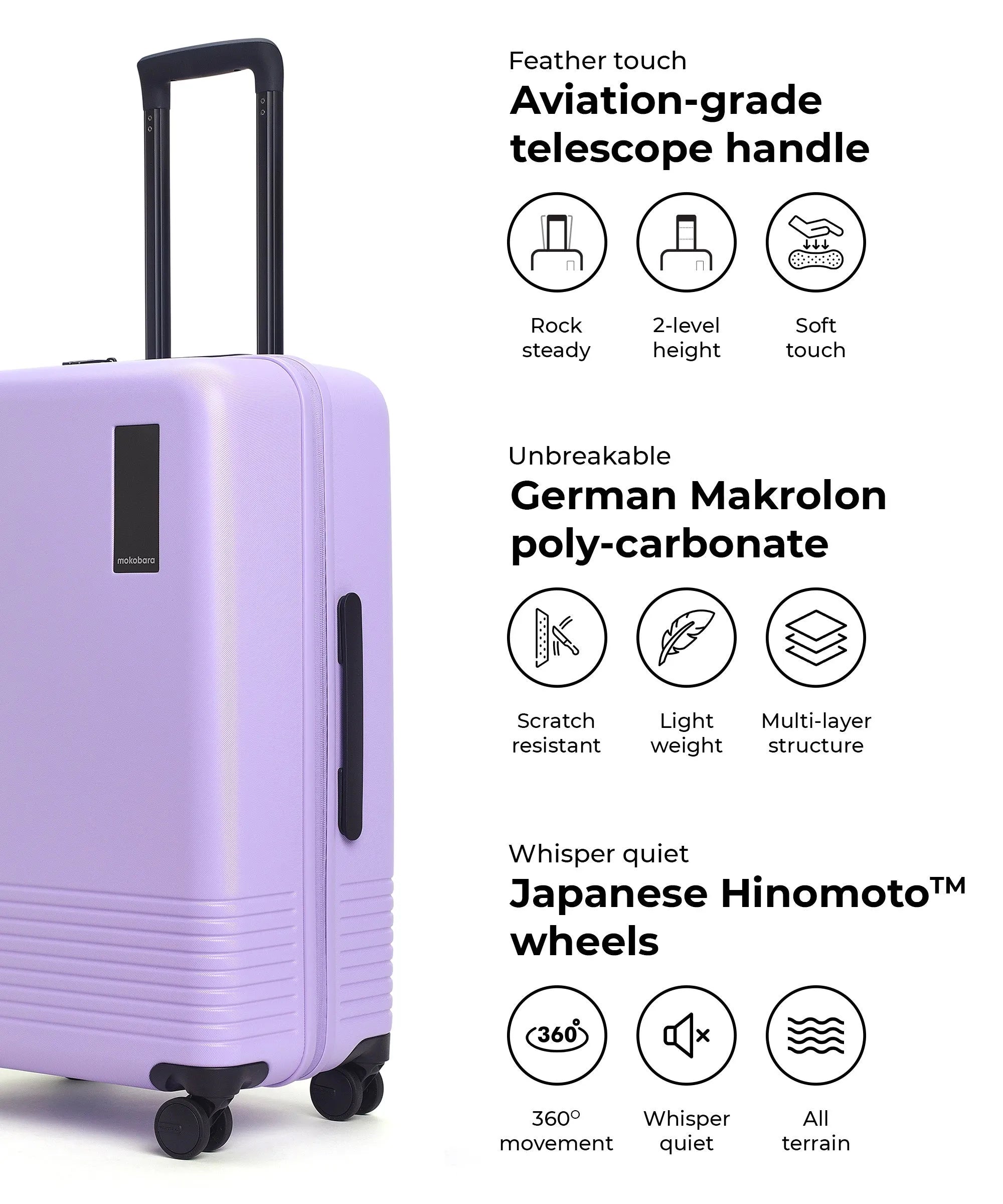 Check-in Luggage