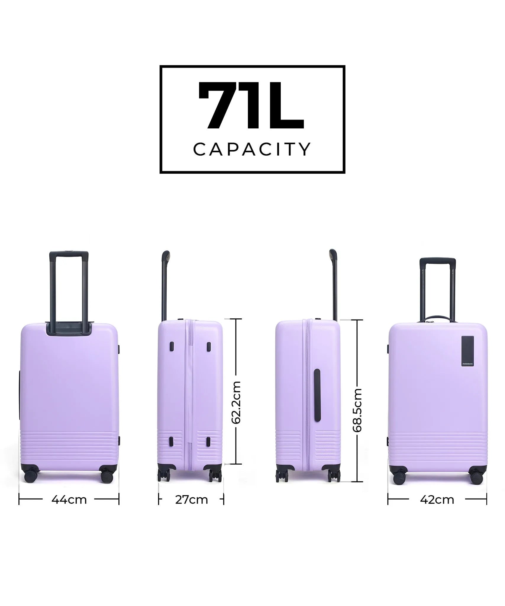 Check-in Luggage