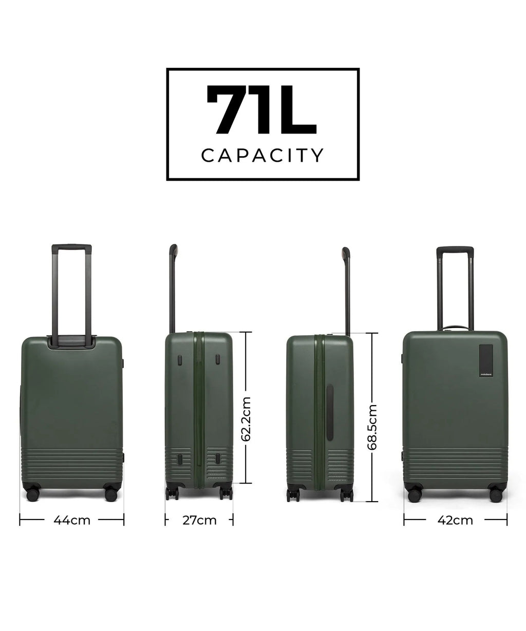 Check-in Luggage