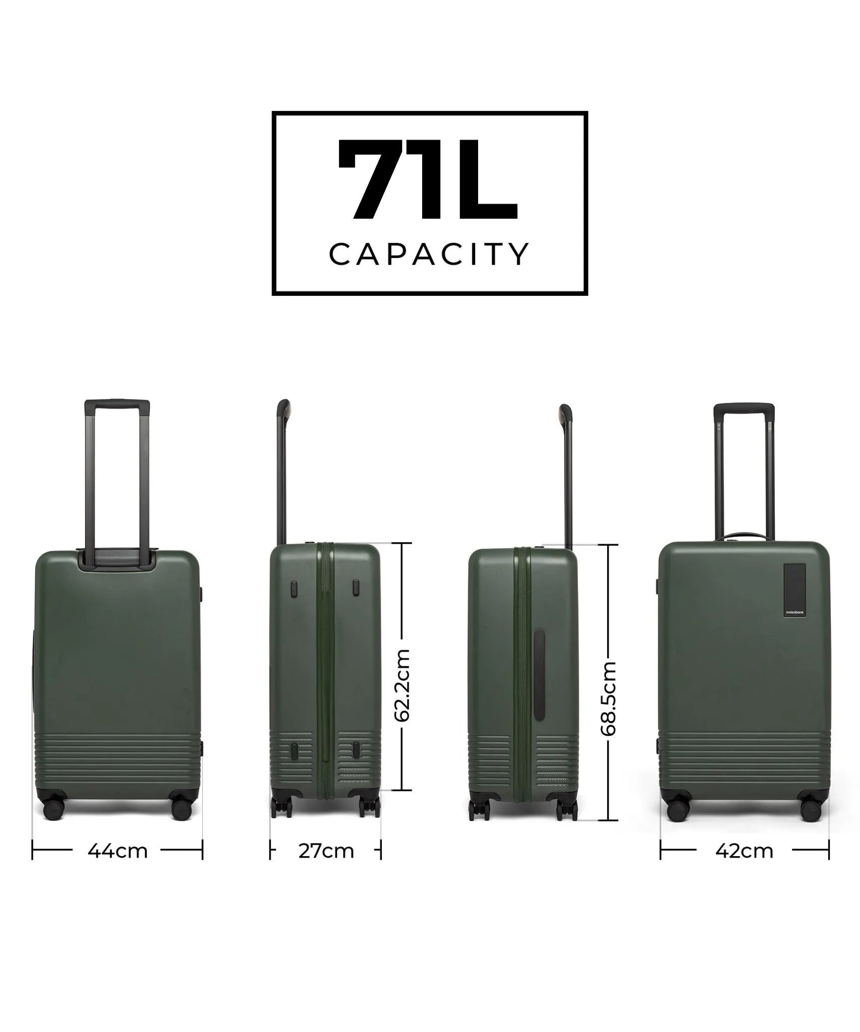 Check-in Luggage