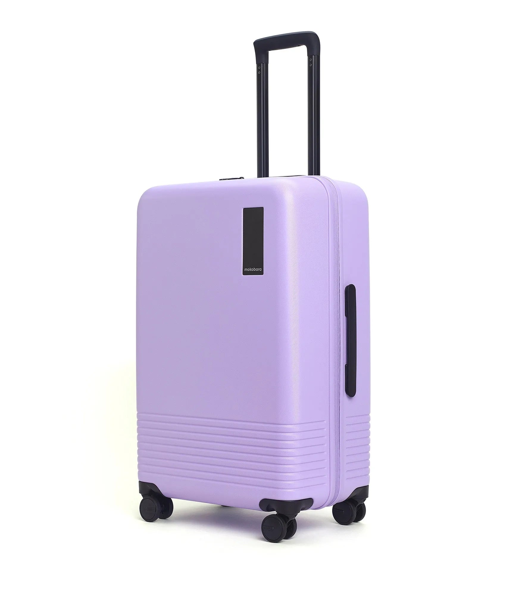 Check-in Luggage