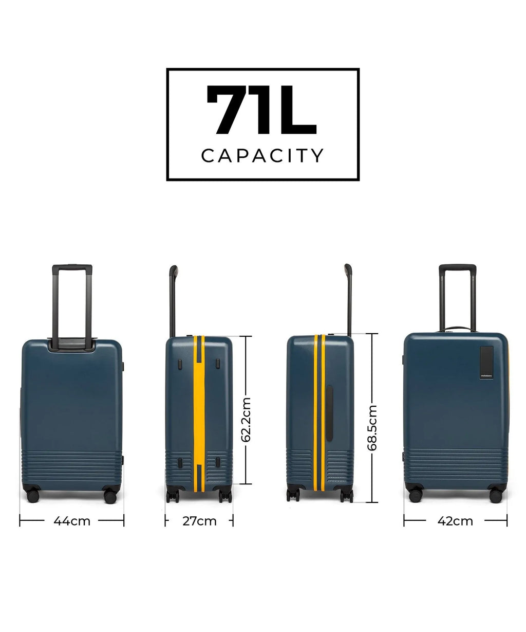 Check-in Luggage