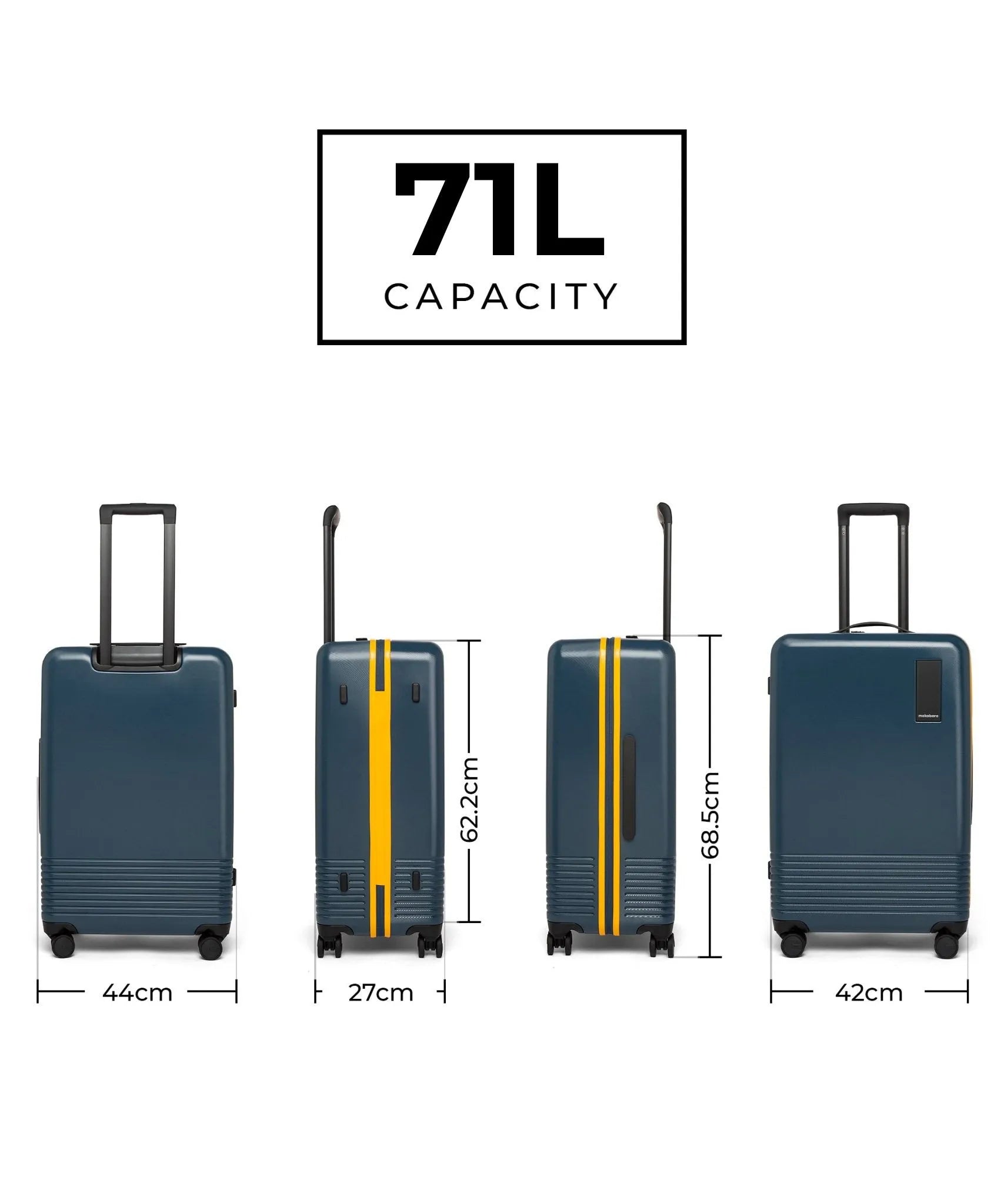 Check-in Luggage