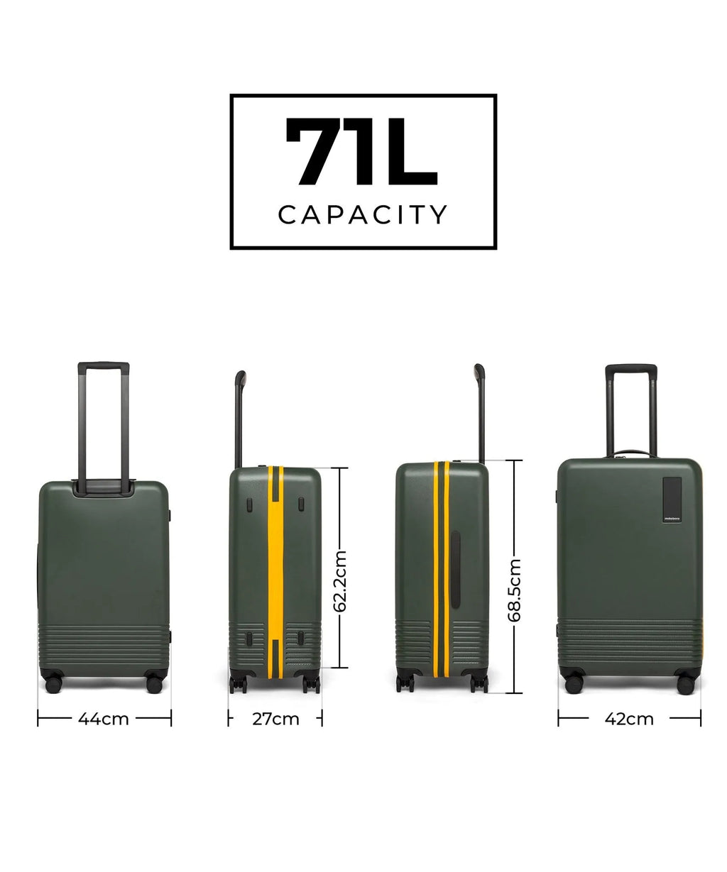 Check-in Luggage