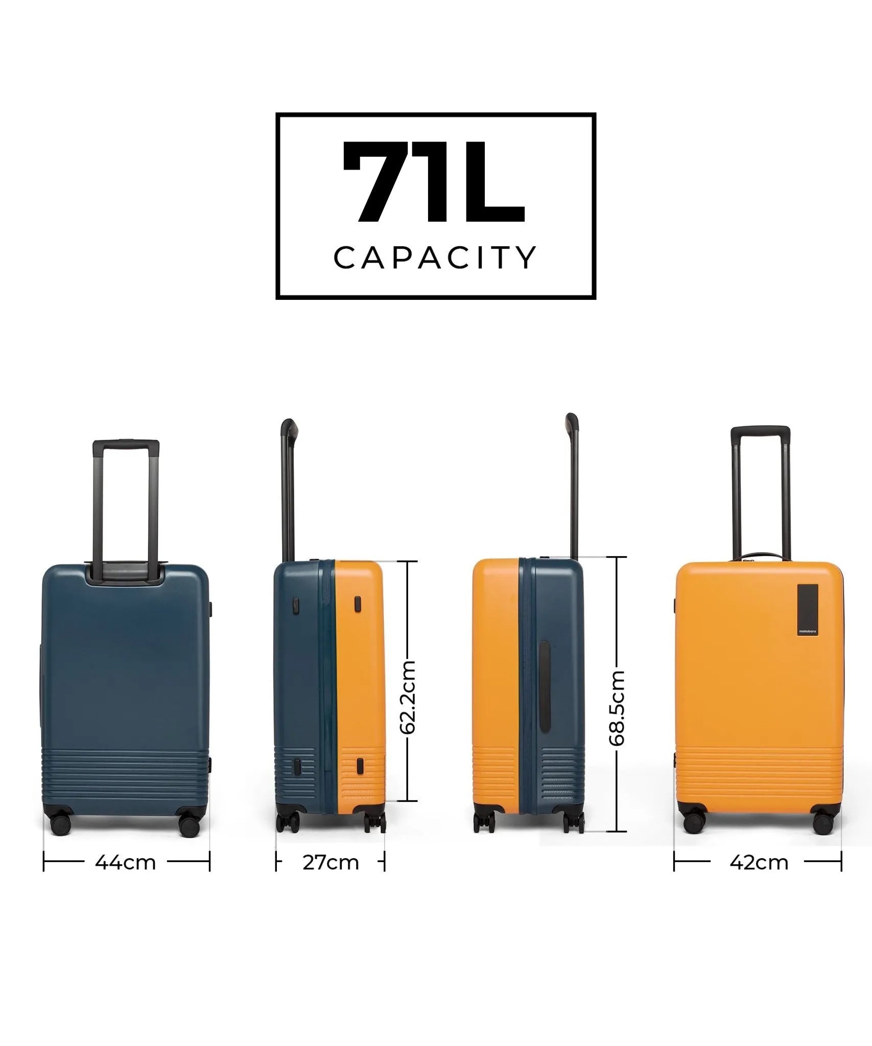Check-in Luggage