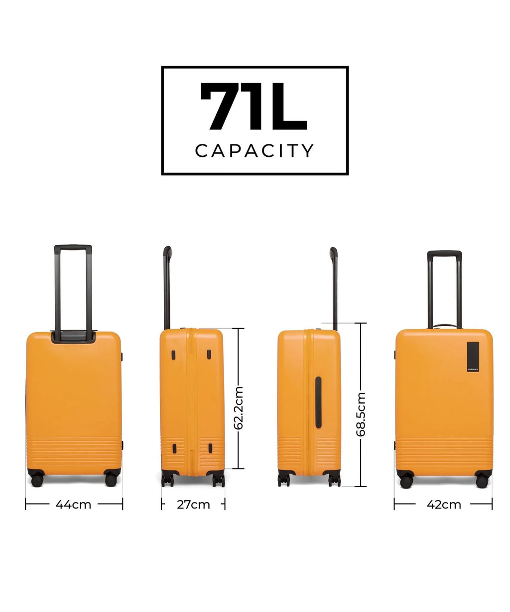 Set of 2 Luggage