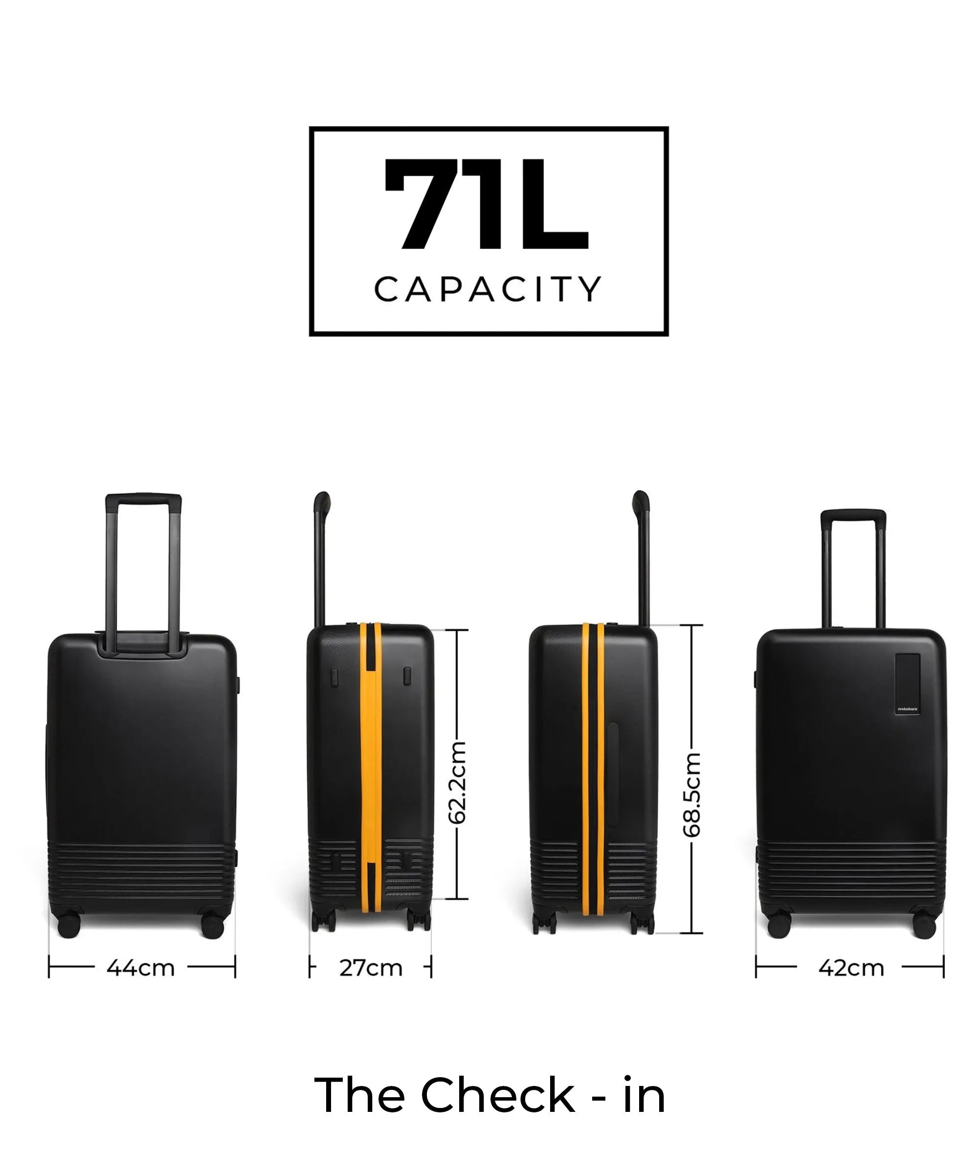 Set of 2 Luggage