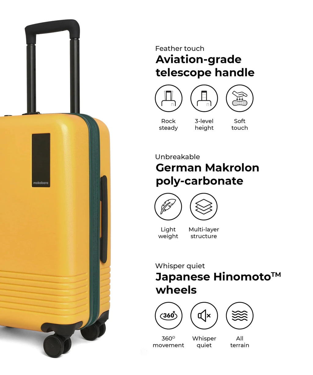 Set of 2 Luggage