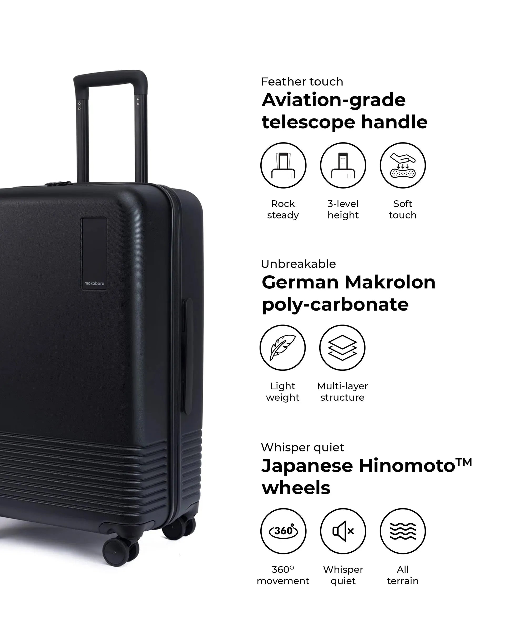 Check-in Luggage
