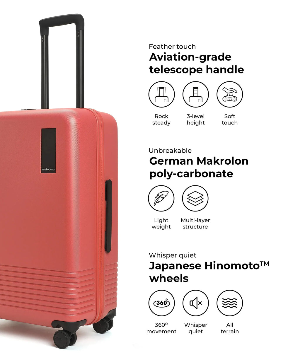 Set of 2 Luggage