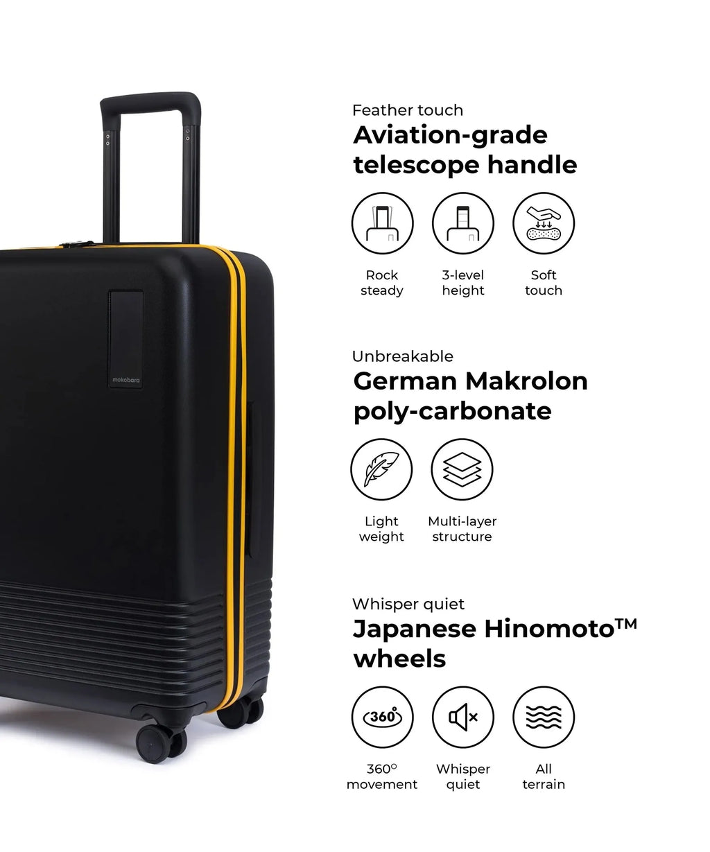 Check-in Luggage