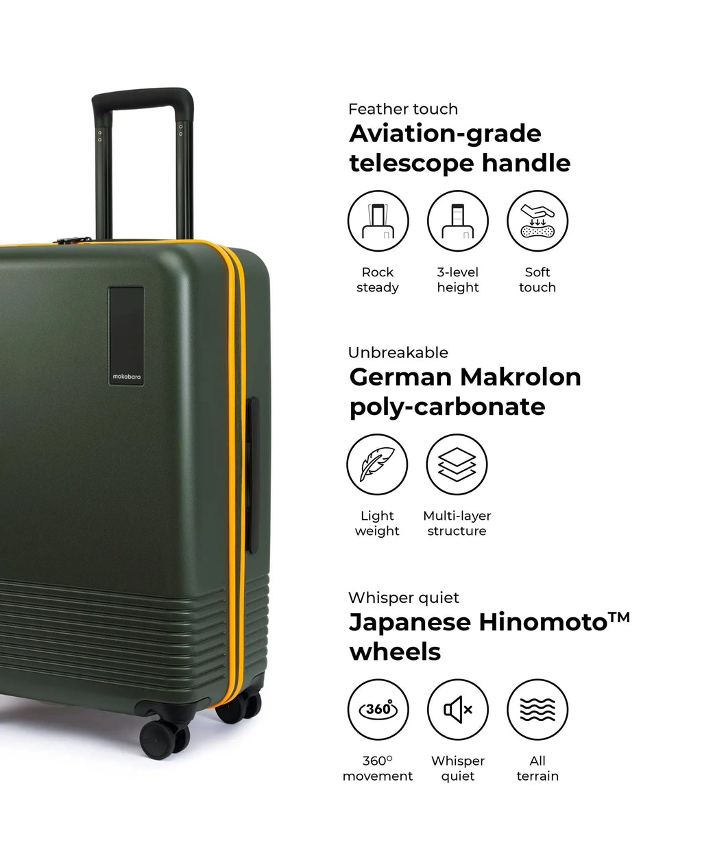 Check-in Luggage