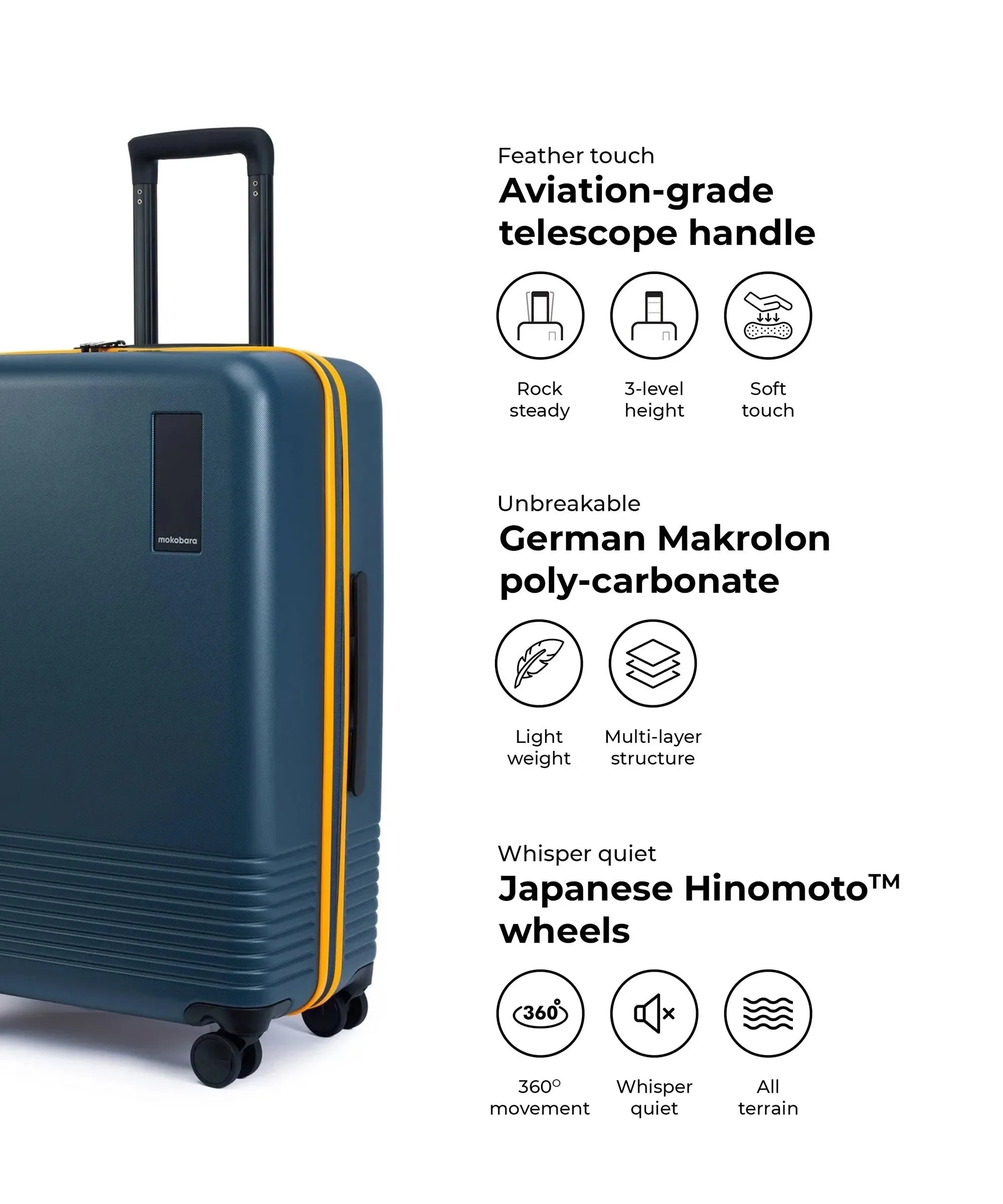 Check-in Luggage
