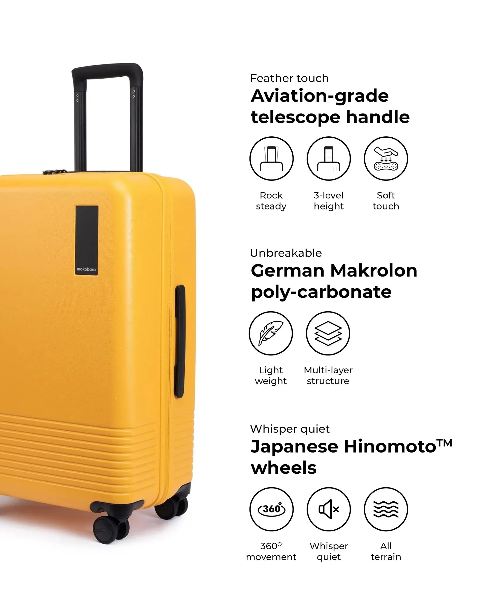 Check-in Luggage