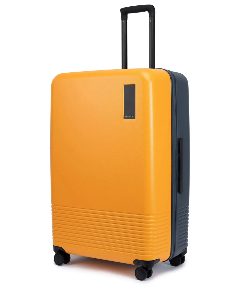 Check-in Large Luggage