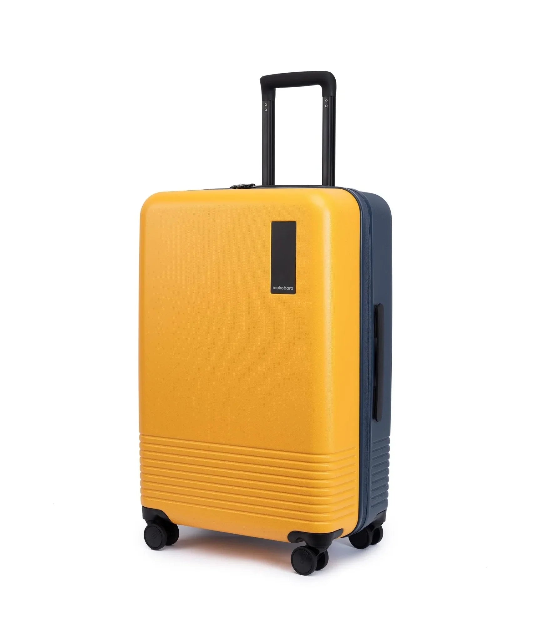 Check-in Luggage