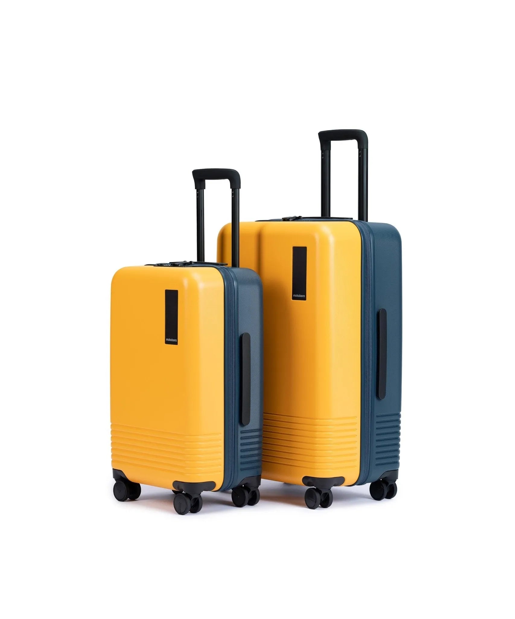 Set of 2 Luggage