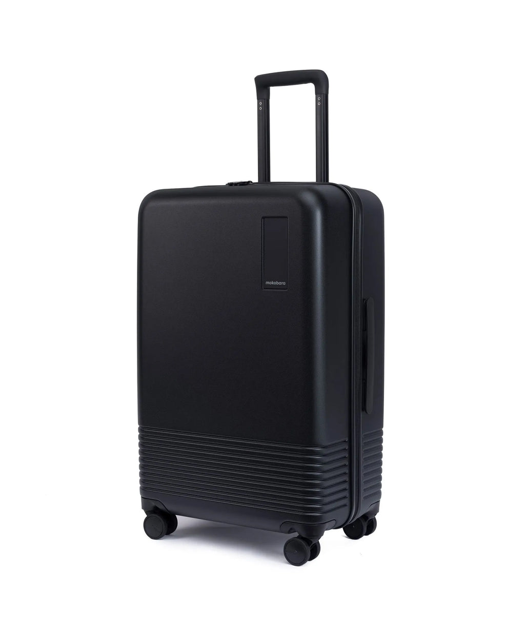 Check-in Luggage