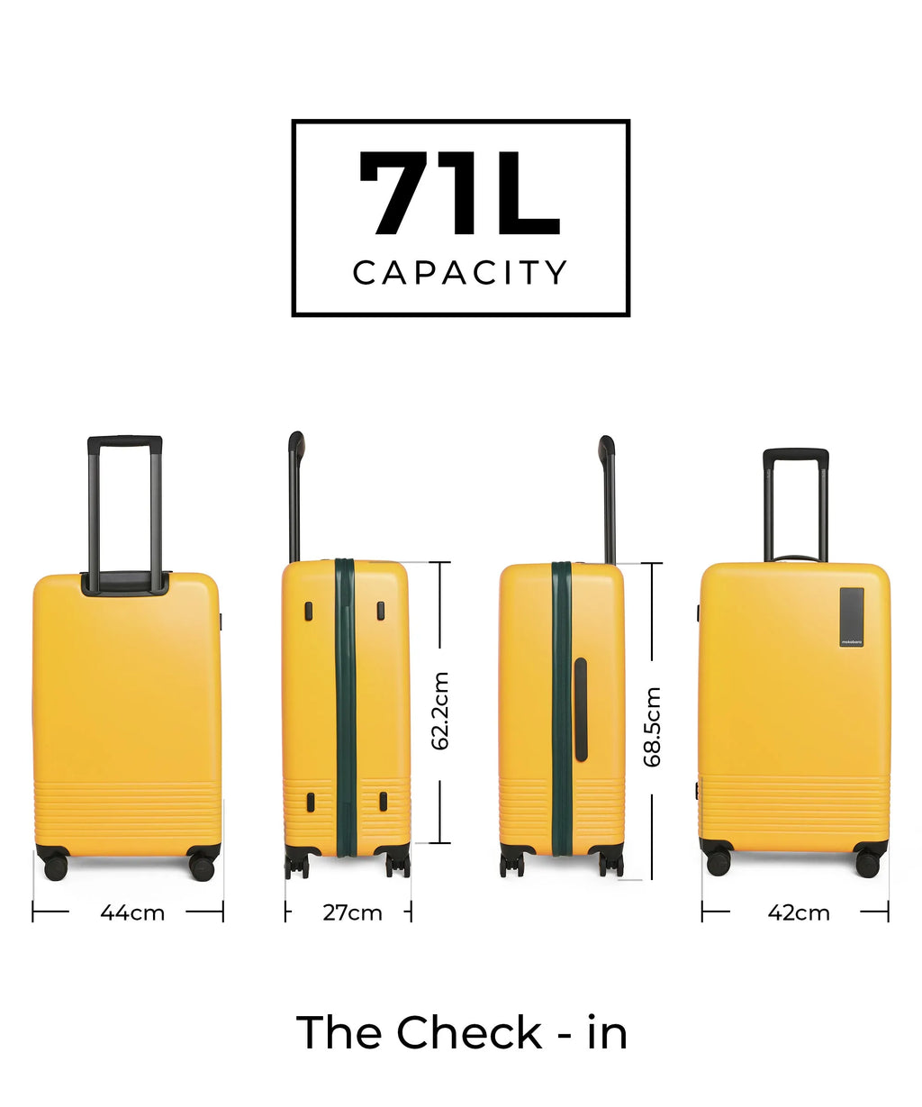 Set of 2 Luggage