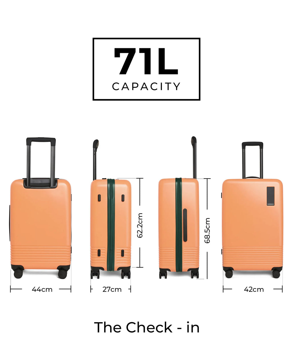 Set of 2 Luggage