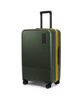 Check-in Luggage