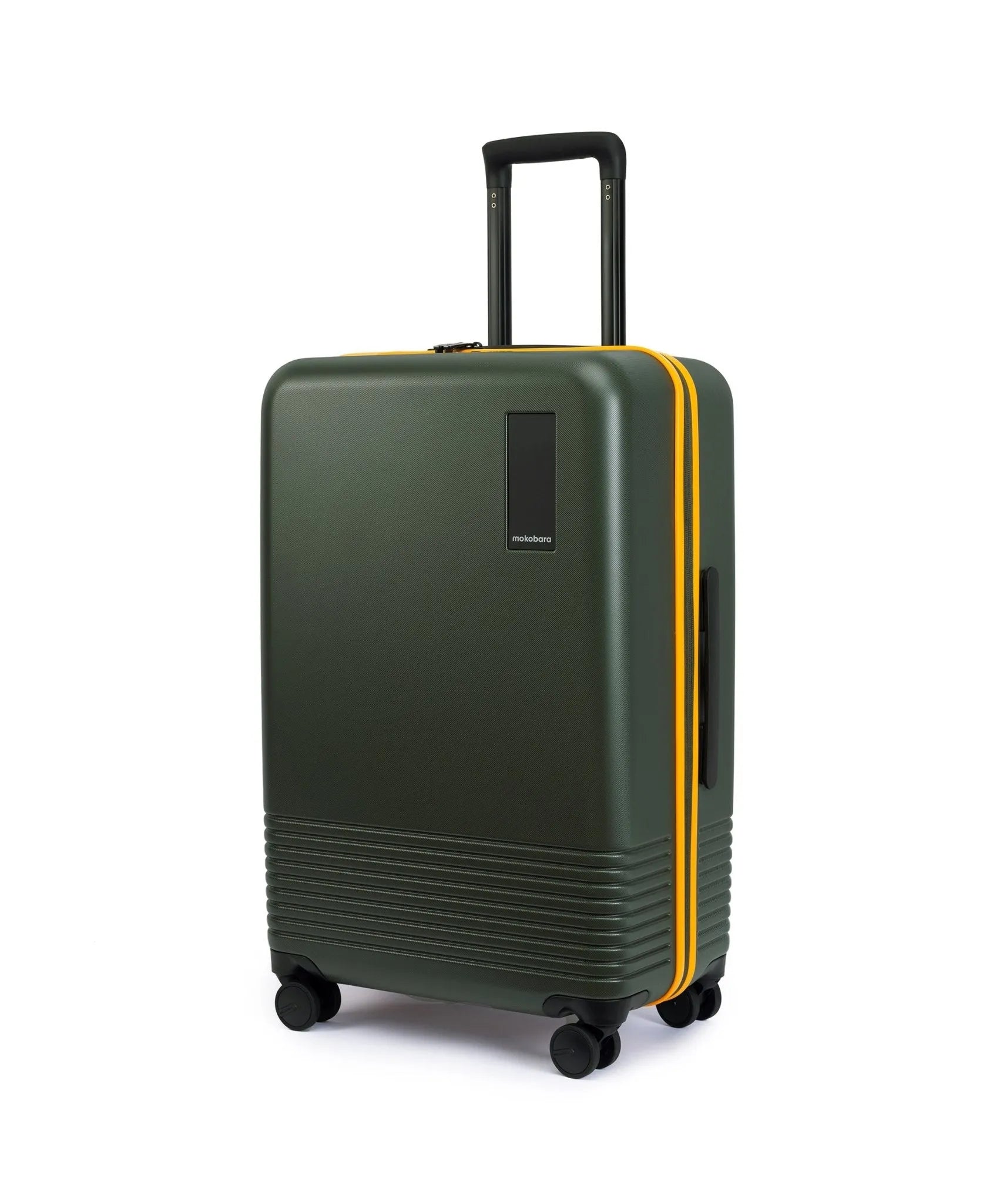 Check-in Luggage