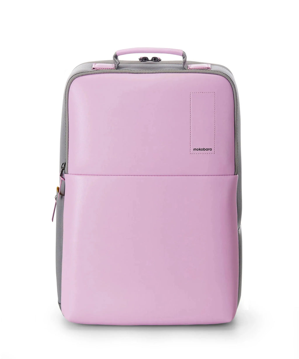 Backpack Pro - 21 L