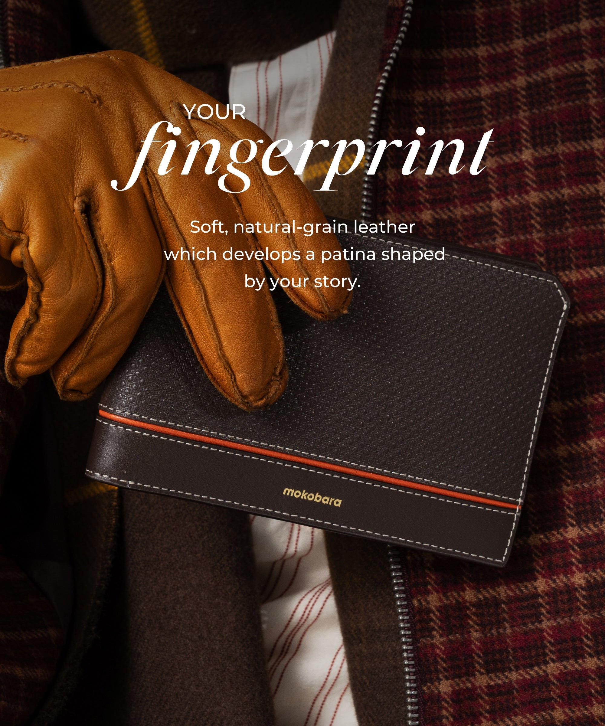 Stash Travel Wallet