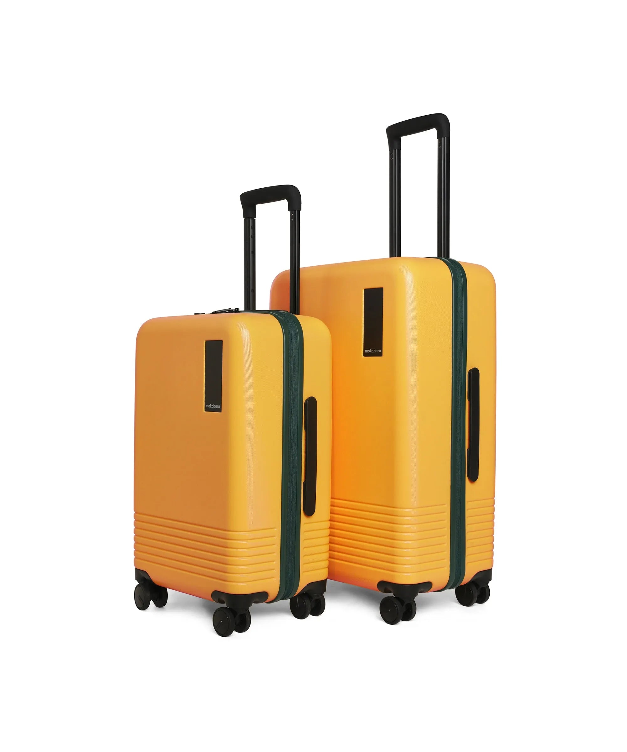 Set of 2 Luggage