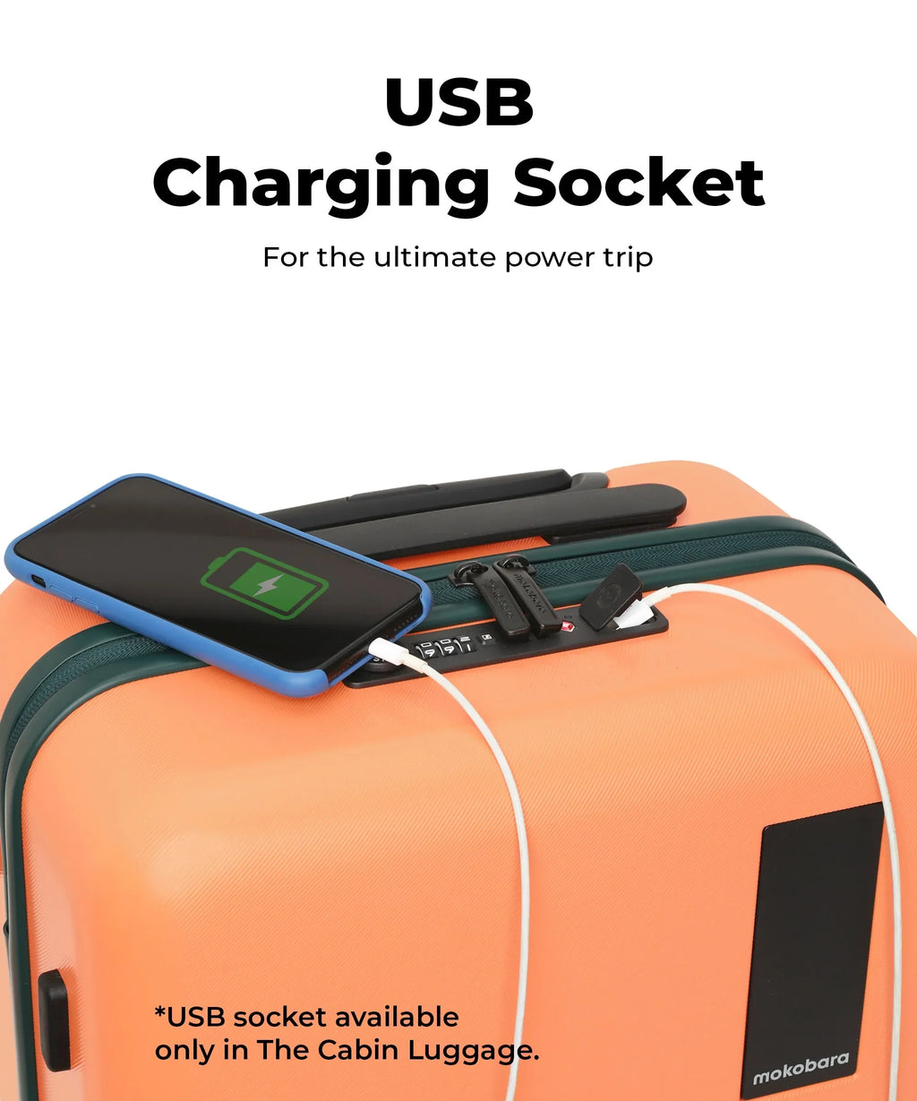 Set of 2 Luggage