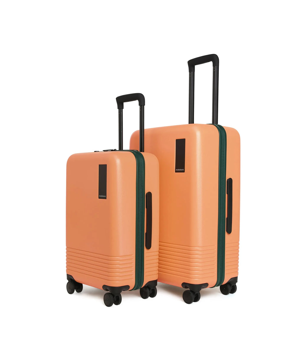 Set of 2 Luggage