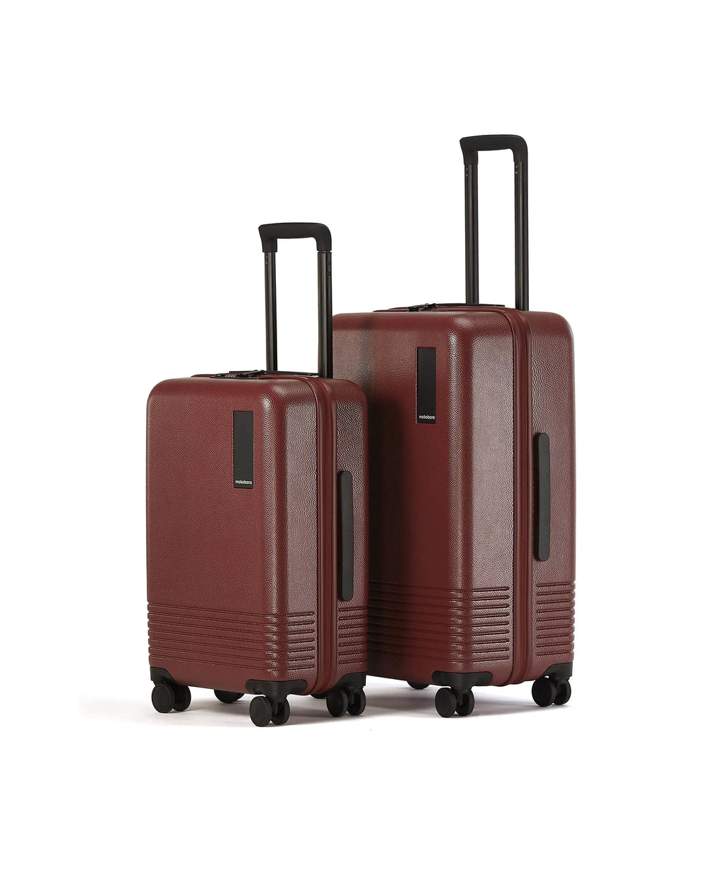 Set of 2 Luggage