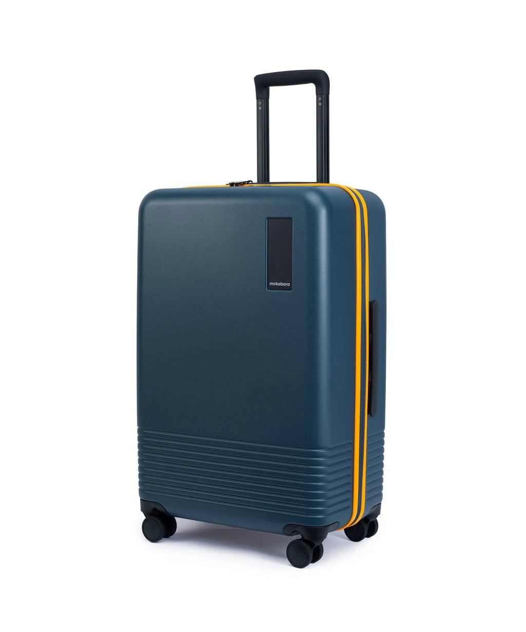 Check-in Luggage