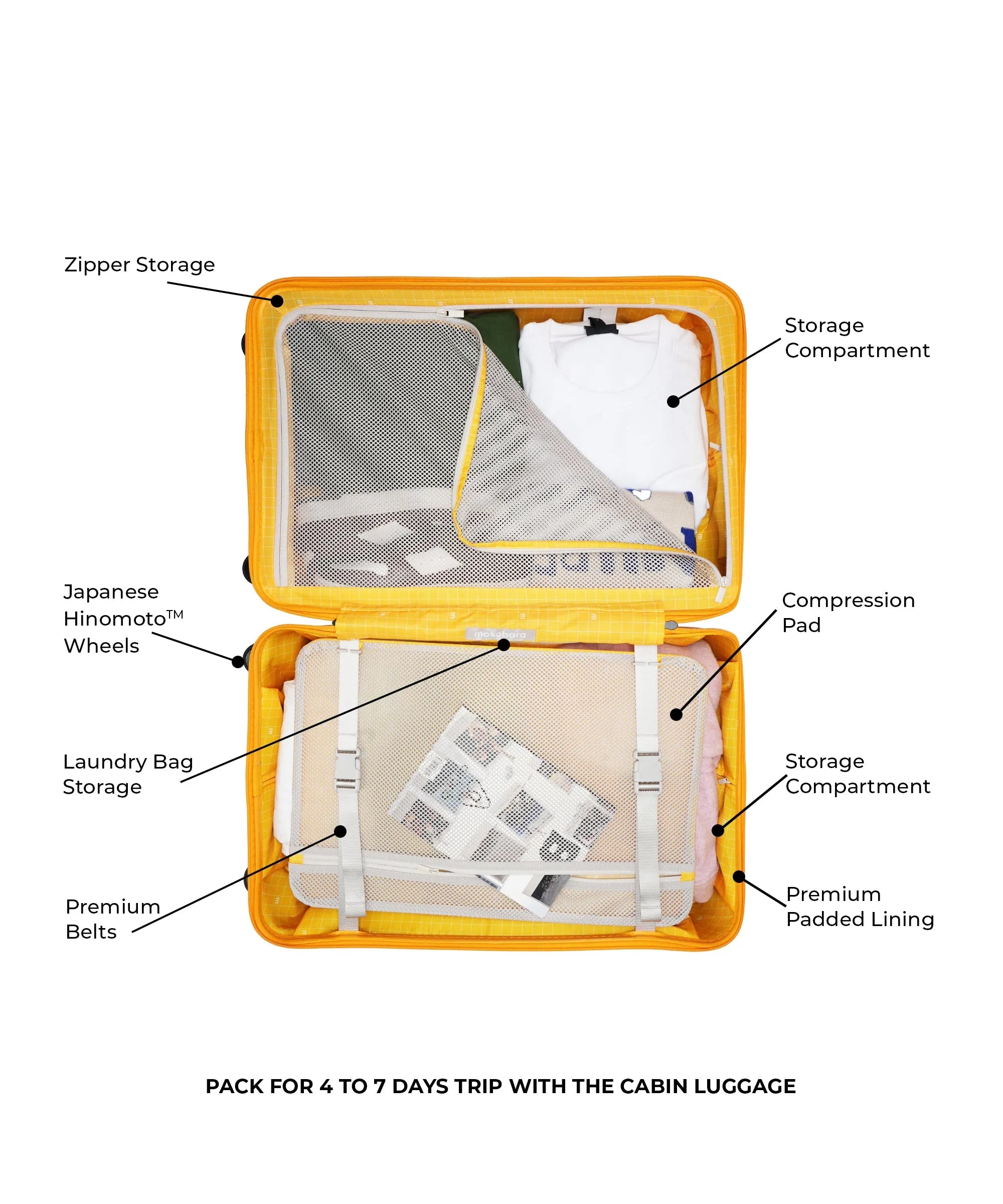 Cabin Luggage