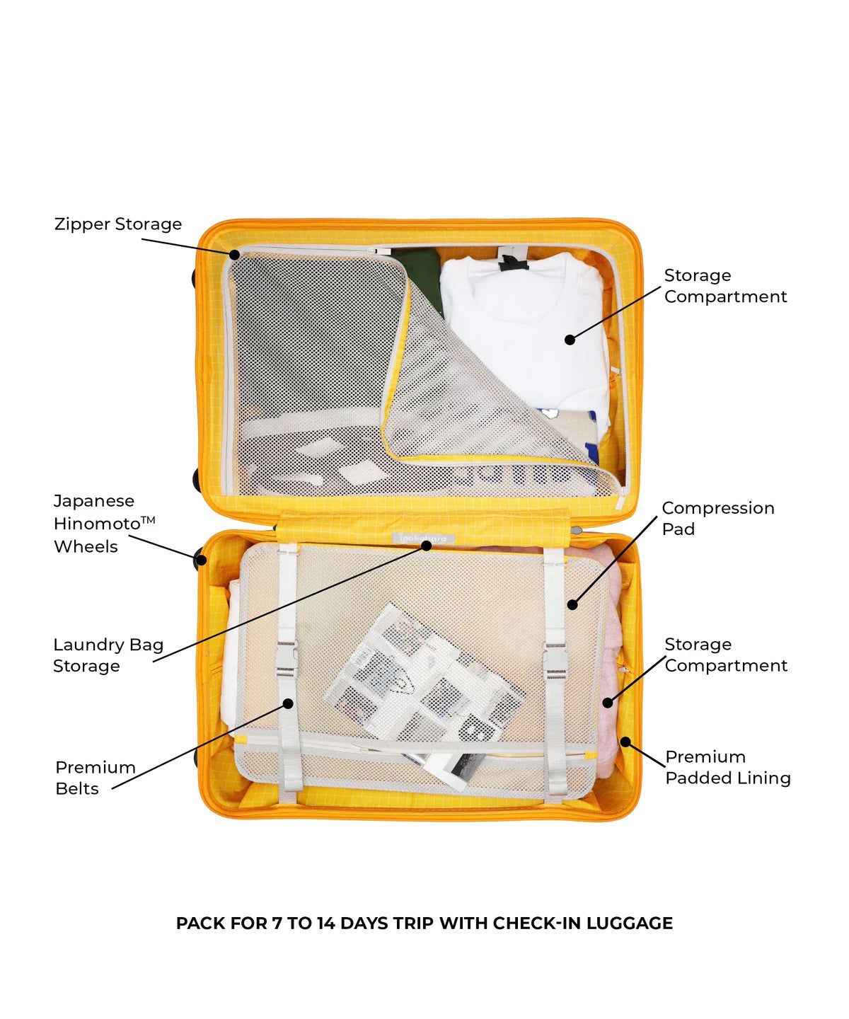 Check-in Luggage