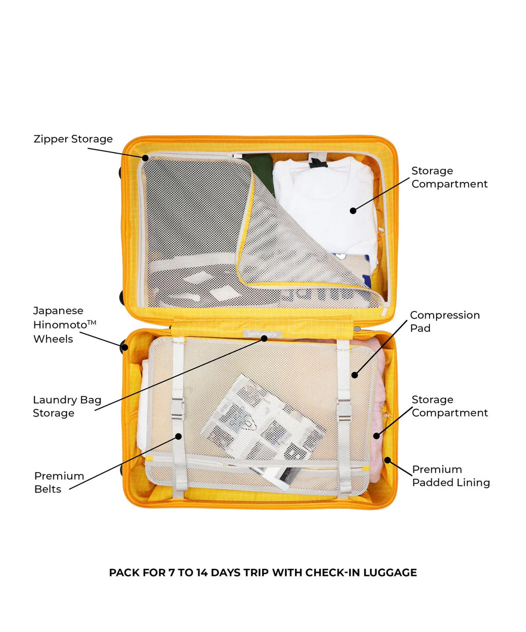 Check-in Luggage