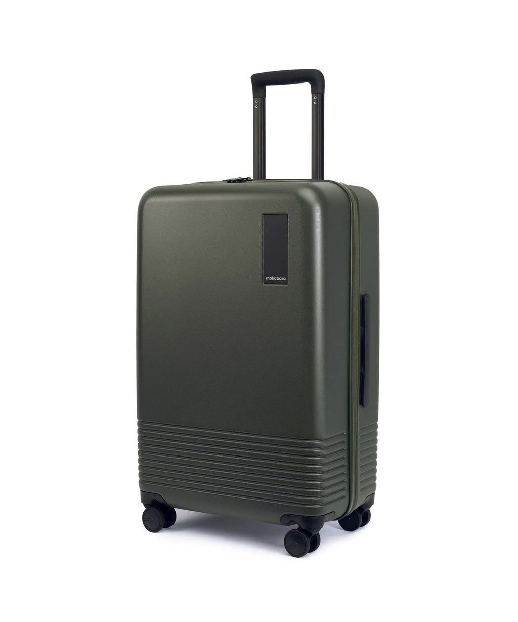 Check-in Luggage