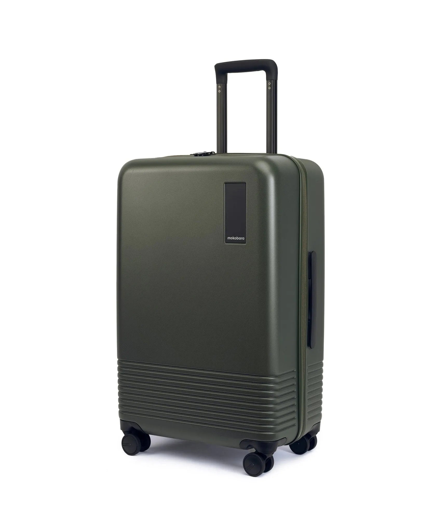 Check-in Luggage