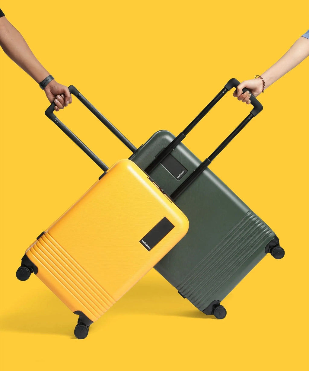 Set of 2 Luggage