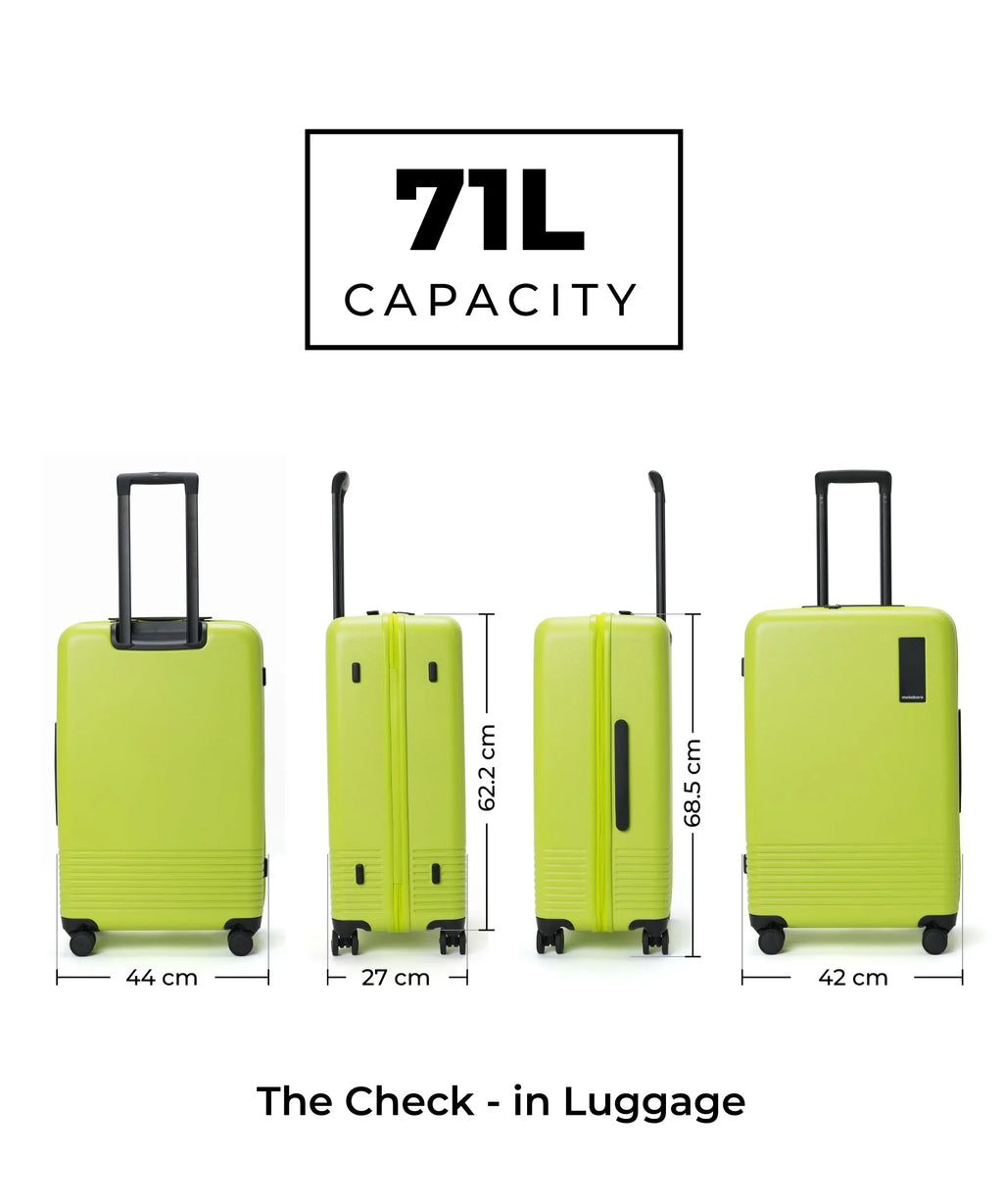 Set of 2 Luggage