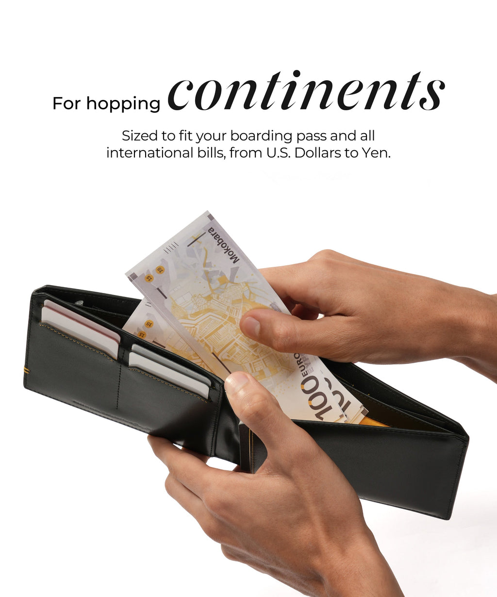 Stash Travel Wallet