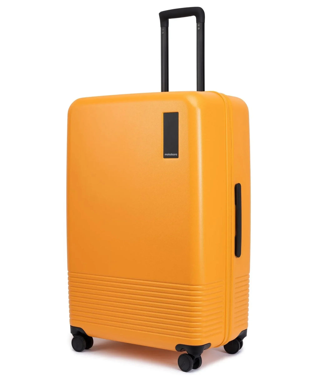 Check-in Large Luggage