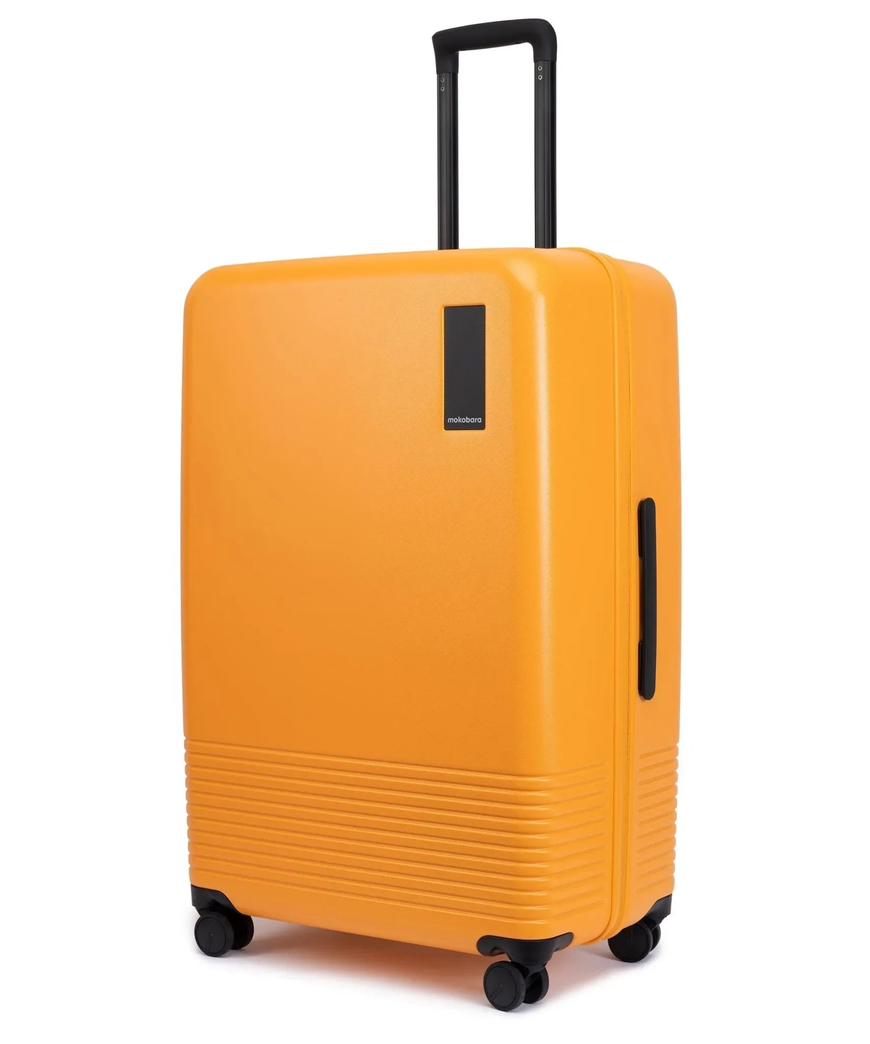 Check-in Large Luggage