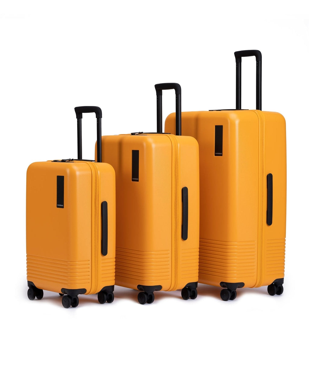Set of 3 Luggage