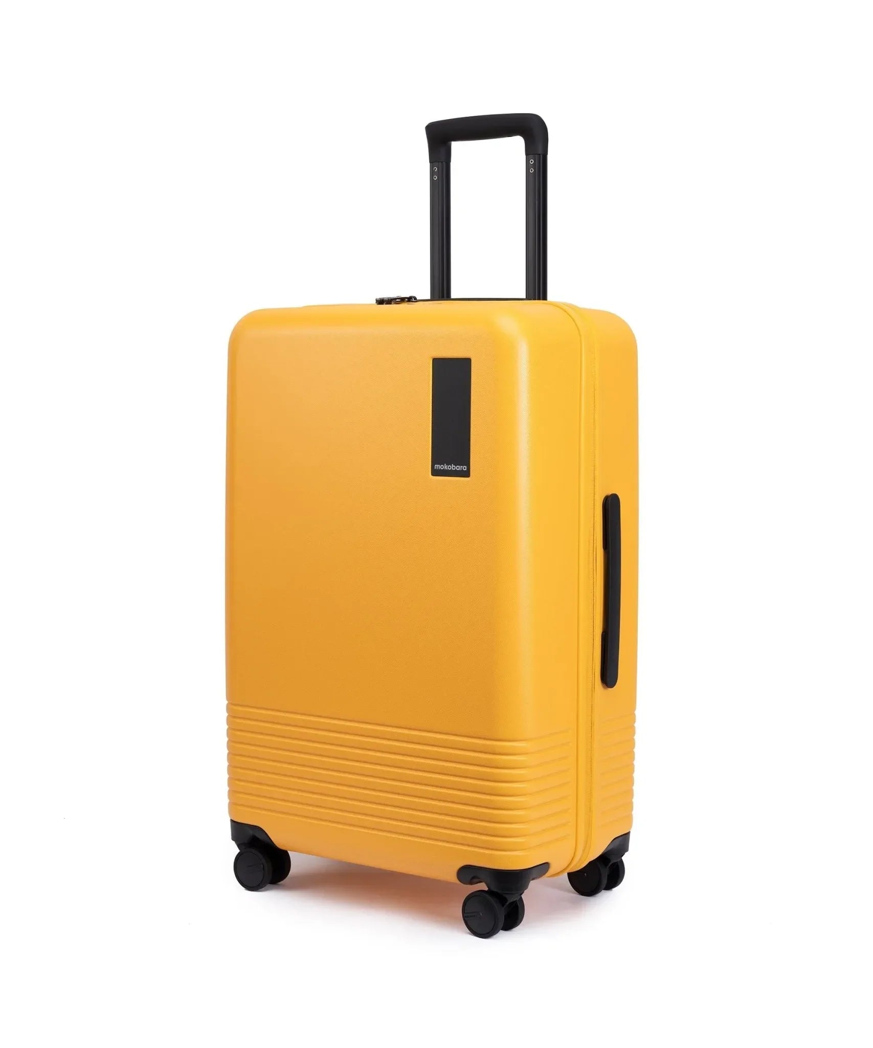 Check-in Luggage