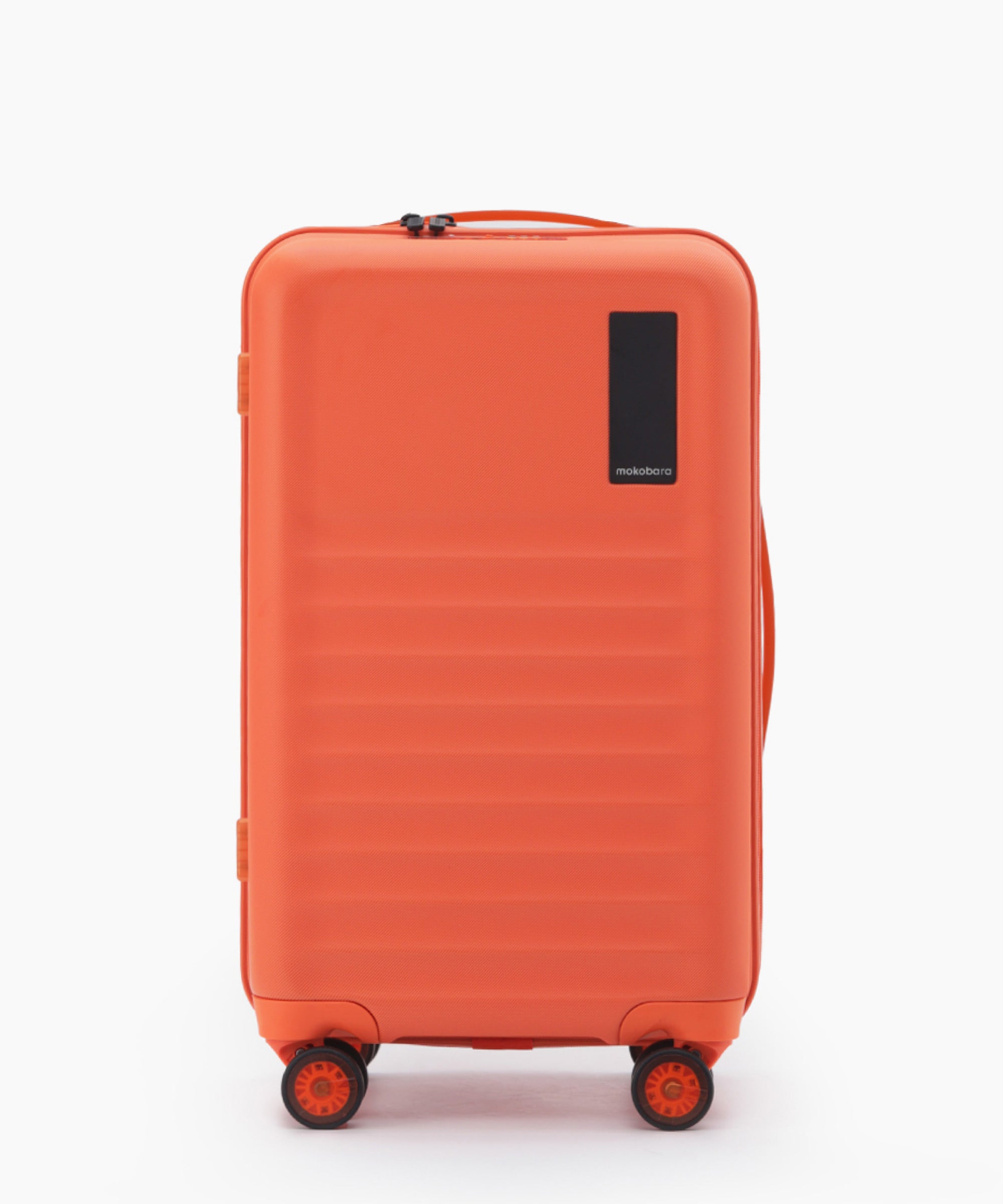 Aisle Trunk - Check-in
