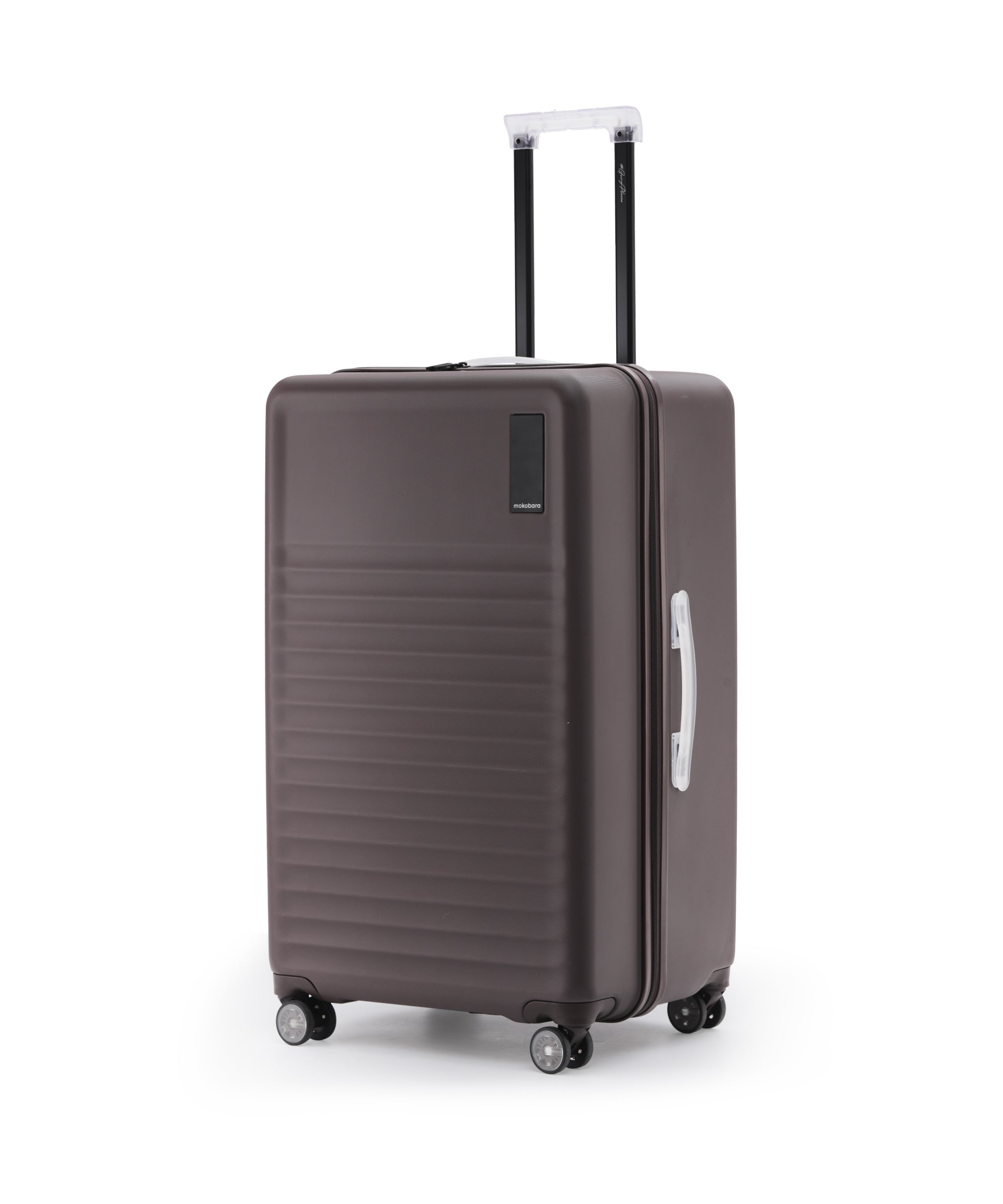 Aisle Trunk - Large